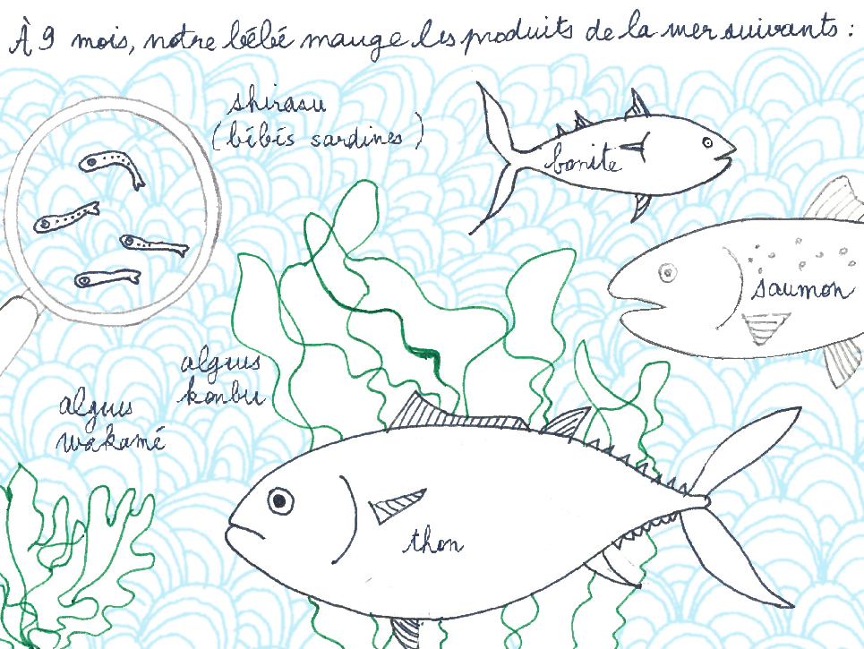 dessin poissons et algues